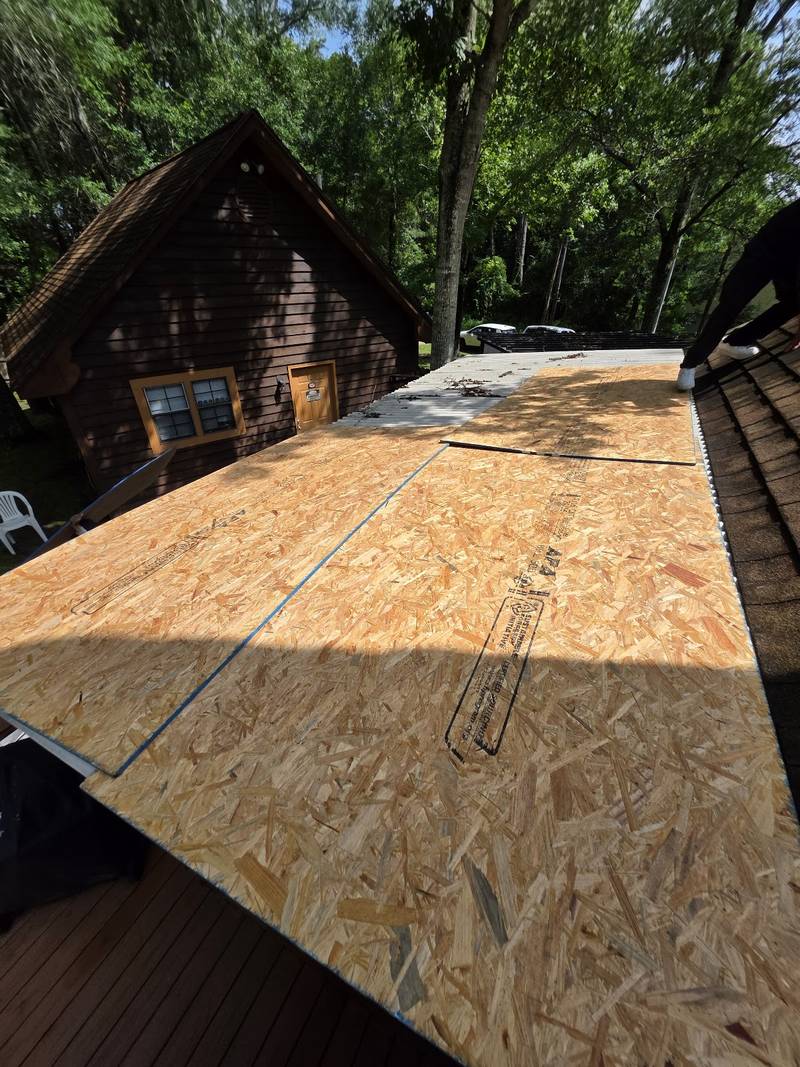 New OSB roof-deck sheets laid on a low roof beside a dark wood-sided cabin, with tall trees behind